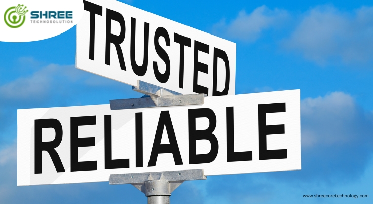 How Shree Technosolution Ensures Fast and Reliable Servers